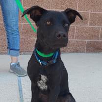 Thumbnail photo of Stuart JuM* #3