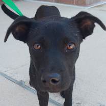 Thumbnail photo of Stuart JuM* #4