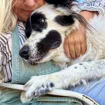 Thumbnail photo of MYRTLE #2