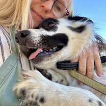 Thumbnail photo of MYRTLE #3