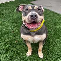 Thumbnail photo of Gabbey Sofia  #3