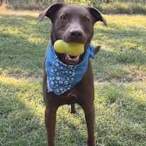 Thumbnail photo of Manny #1