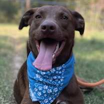 Thumbnail photo of Manny #3