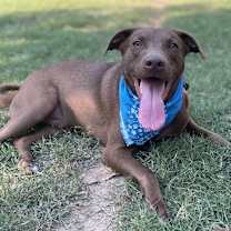 Thumbnail photo of Manny #4