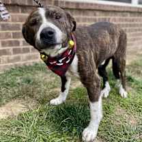 Thumbnail photo of Lip #2