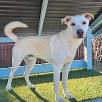 Thumbnail photo of Webster #2