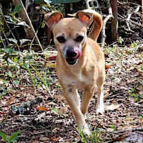 Thumbnail photo of Kima #2