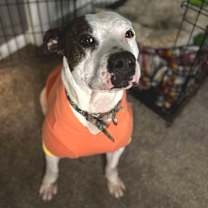 Thumbnail photo of Casienova #1