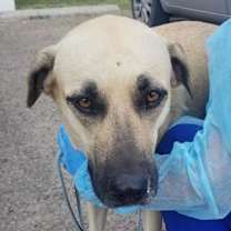 Thumbnail photo of Sunshine #2