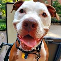 Thumbnail photo of Jackson #1