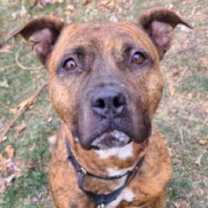 Thumbnail photo of Turkey #2