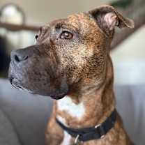 Thumbnail photo of Turkey #3