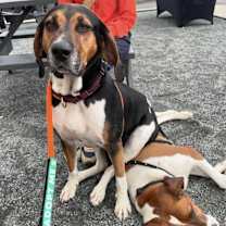 Thumbnail photo of PARKER & PORTER #2