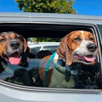 Thumbnail photo of PARKER & PORTER #3