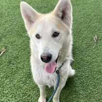 Thumbnail photo of Skip #2