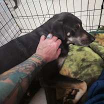 Thumbnail photo of Luna #4