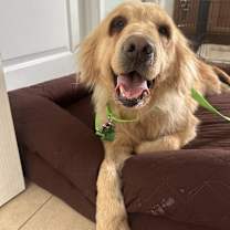 Thumbnail photo of Polly #2