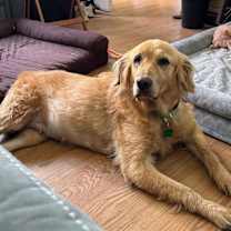 Thumbnail photo of Polly #3