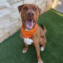 Thumbnail photo of Russell Shelley #1