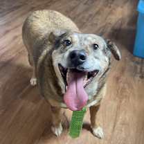 Thumbnail photo of Tanning #2