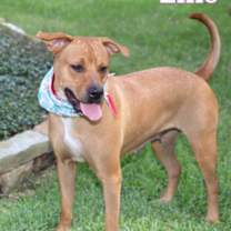 Thumbnail photo of ELLIE #3