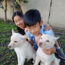 Thumbnail photo of THOR DOGG #4