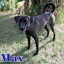 Thumbnail photo of MAX #1