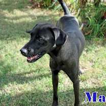 Thumbnail photo of MAX #3