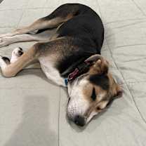 Thumbnail photo of Star Trek 7:  Deanna #2