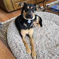 Thumbnail photo of Brienza 6974 #2