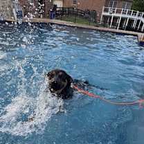 Thumbnail photo of Brienza 6974 #3