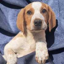 Thumbnail photo of Harriet #2