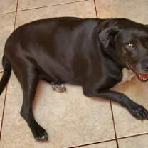 Thumbnail photo of Sugar #4