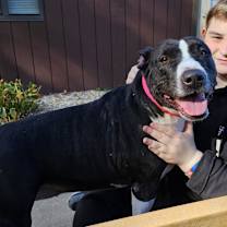 Thumbnail photo of Cenna #3