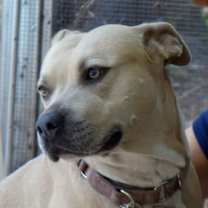 Thumbnail photo of Amelia!  Swimmer!  Lovemush! #1