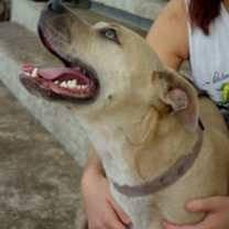 Thumbnail photo of Amelia!  Swimmer!  Lovemush! #2