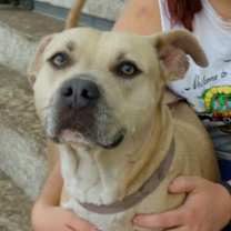 Thumbnail photo of Amelia!  Swimmer!  Lovemush! #3