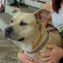 Thumbnail photo of Amelia!  Swimmer!  Lovemush! #4