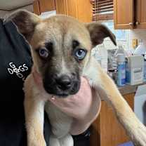 Thumbnail photo of Jill FJ #2