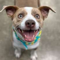 Thumbnail photo of Mac #1