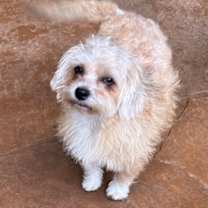 Thumbnail photo of Medina #3