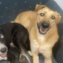 Thumbnail photo of INSPIRE (Lebanon) kt #4