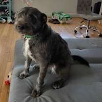 Thumbnail photo of Marty #2