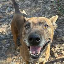 Thumbnail photo of Leslie #1