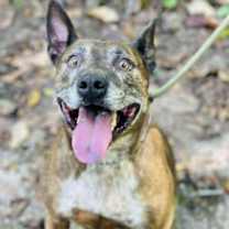 Thumbnail photo of Leslie #2