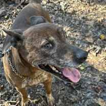 Thumbnail photo of Leslie #3