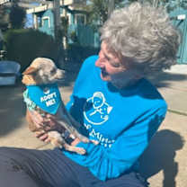 Thumbnail photo of Zelda #4