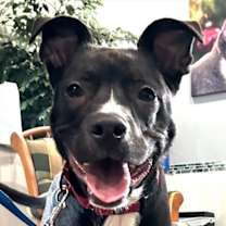 Thumbnail photo of Chip #4