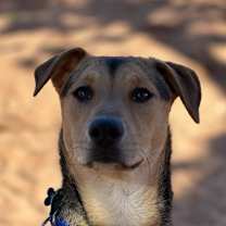 Thumbnail photo of Lime #2