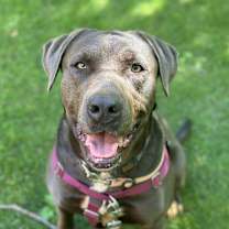 Thumbnail photo of Hope #1